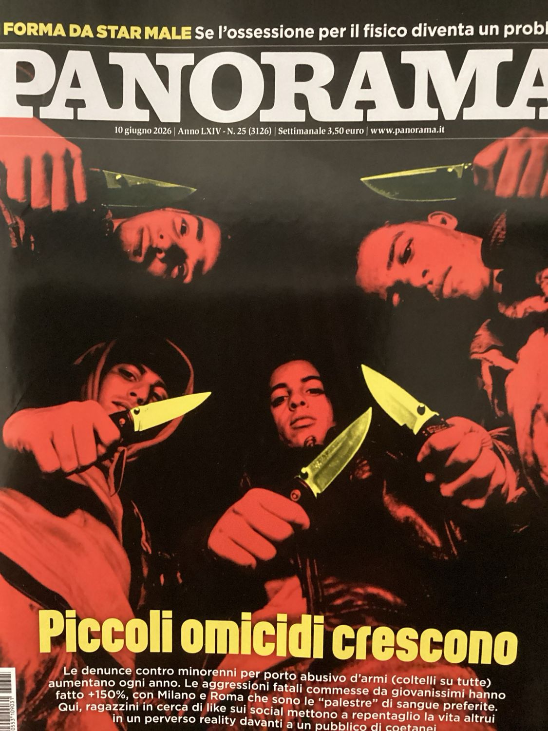 PANORAMA I #25/26