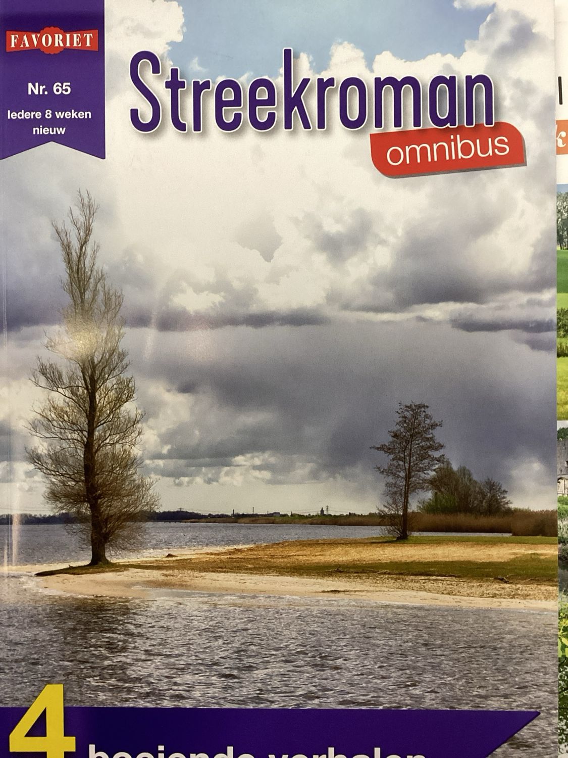 STREEKROMAN OMNIBUS #65