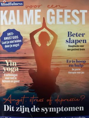 MINDFULNESS KALME GEEST #3