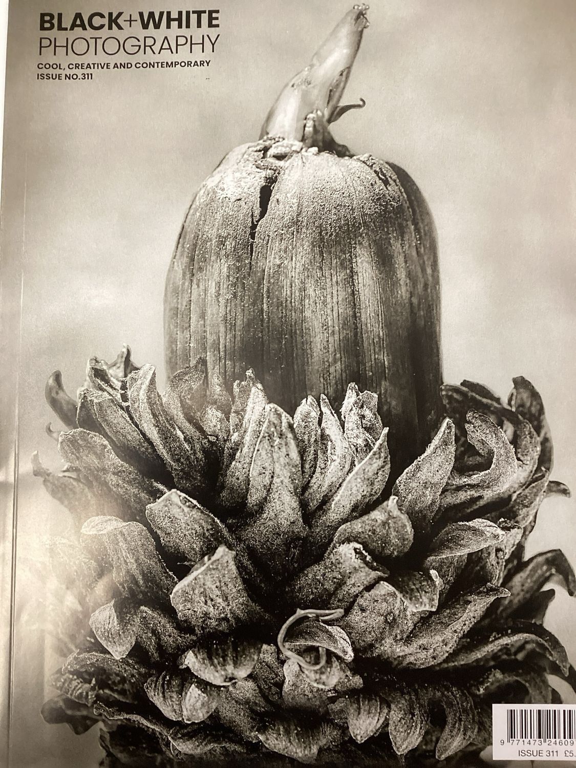 BLACK &amp; WHITE PHOTOGRAPHY #311