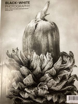 BLACK &amp; WHITE PHOTOGRAPHY #311