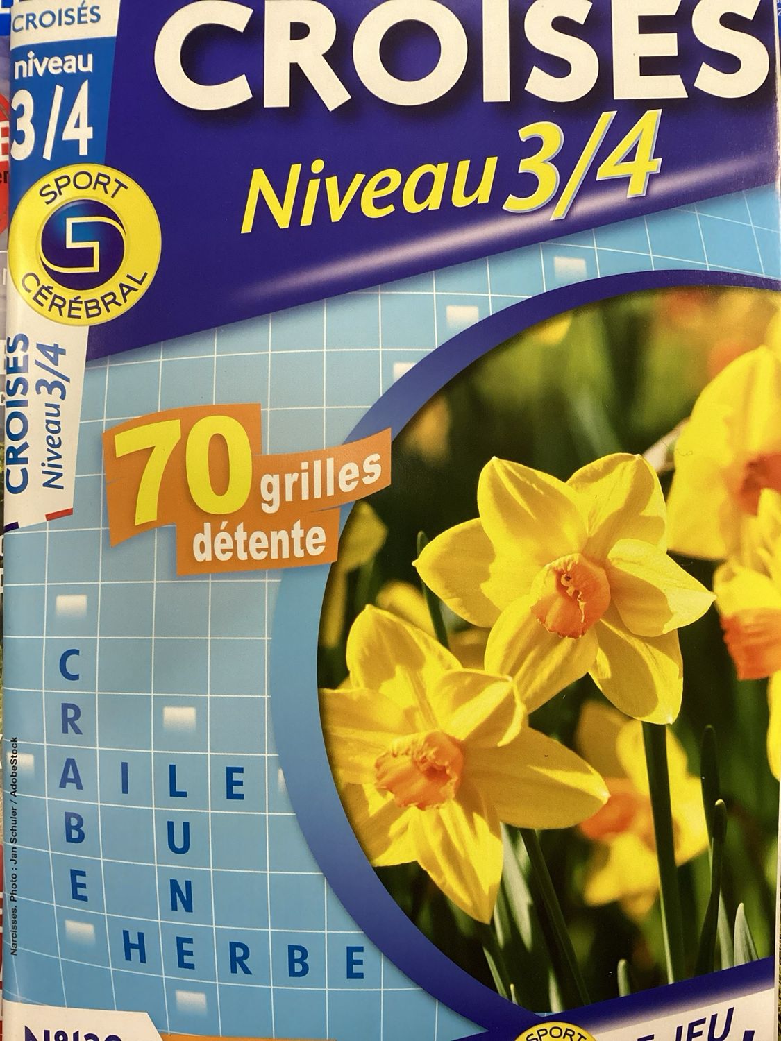 SC CROISES NIV 3/4 #130