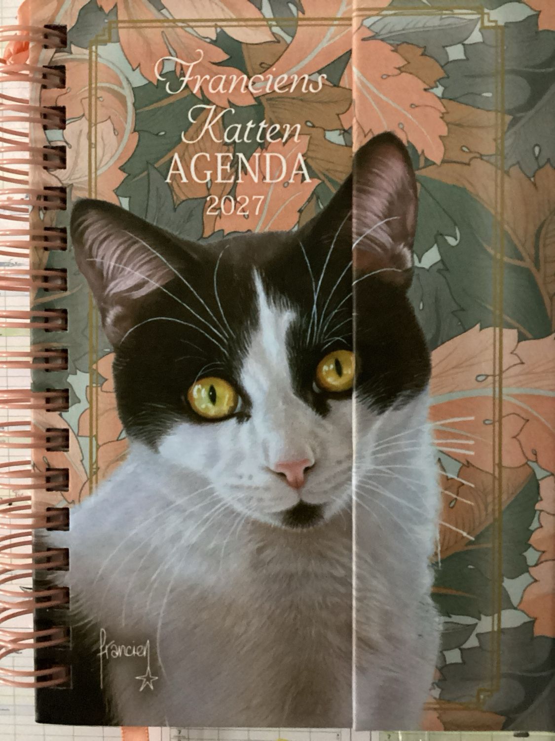FRANCIENS KATTEN SPIRAALA #2027
