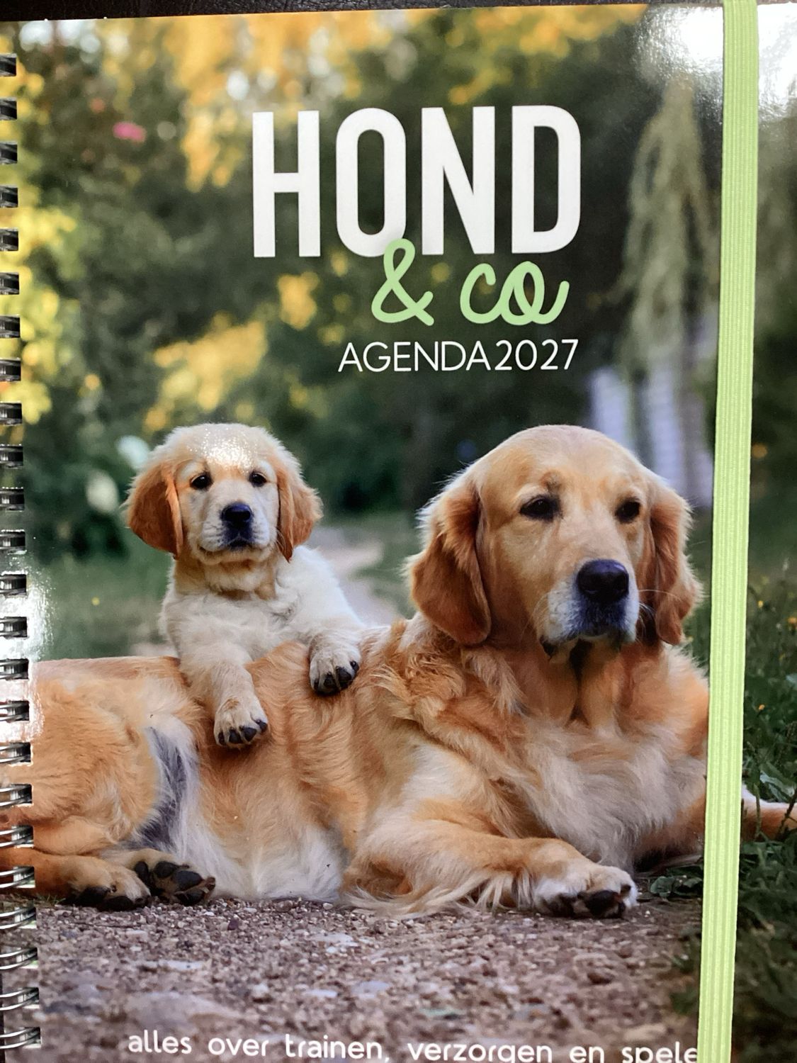 HOND &amp; CO AGENDA #2027
