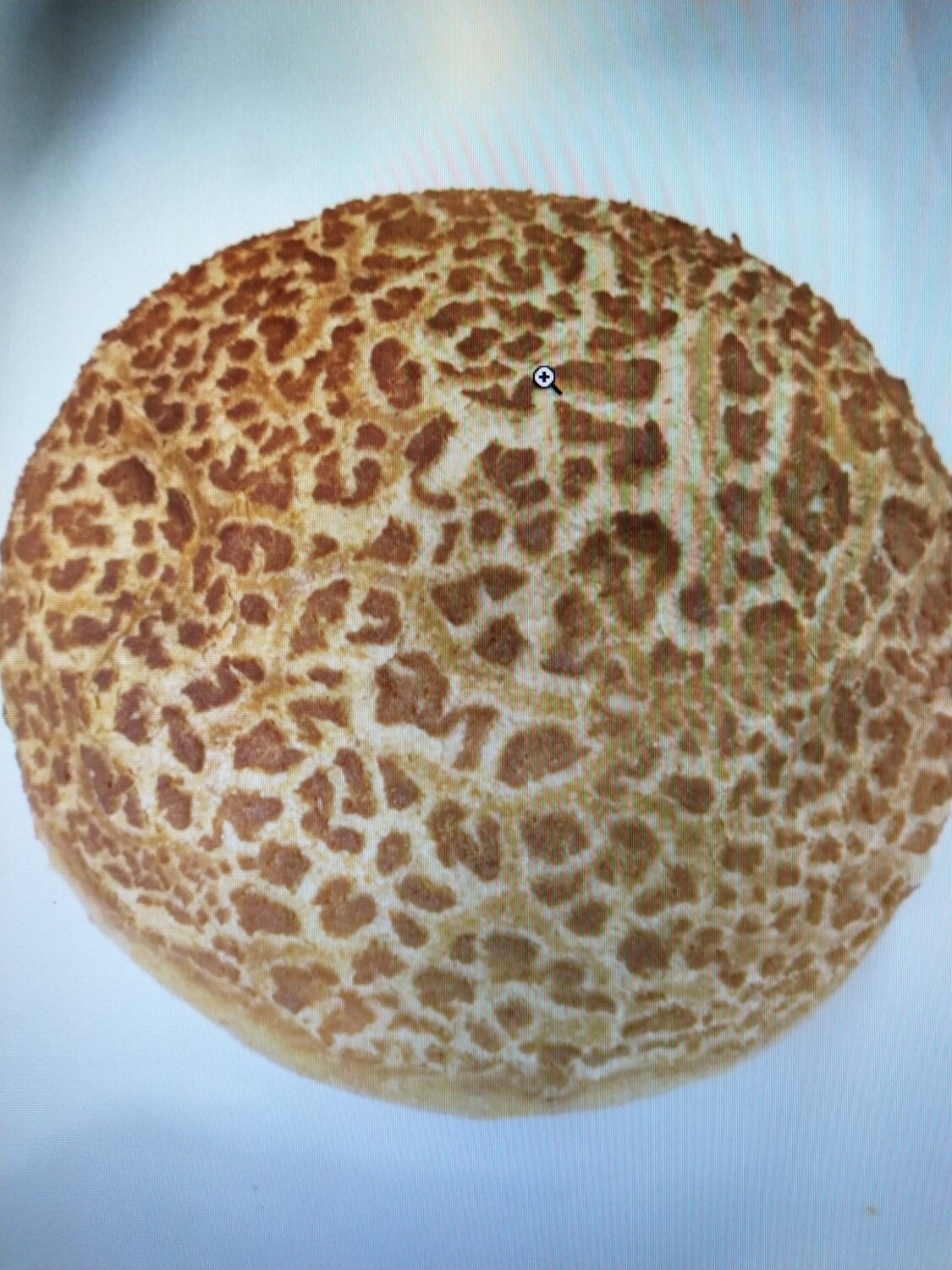 Grof brood