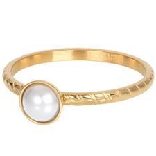 Dynasty goud