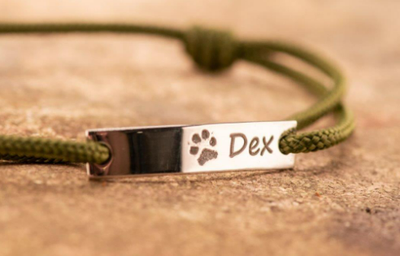 Dieren collectie