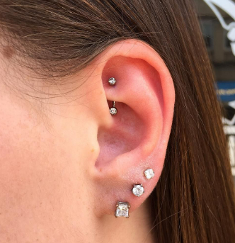 Rook