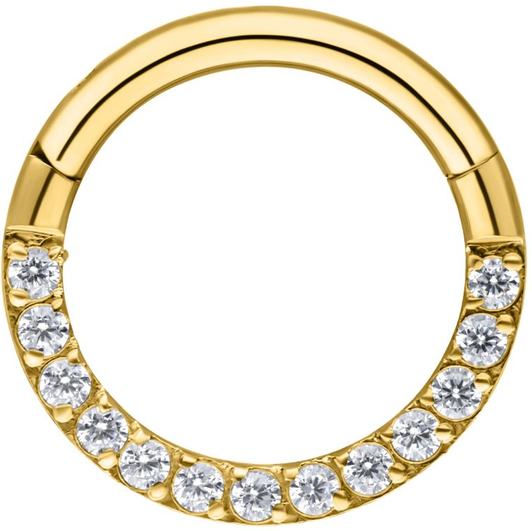 Segmentring/clicker in titanium 10mm