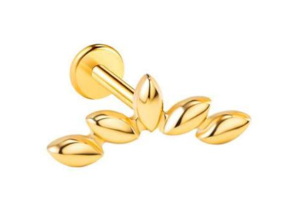 Titanium labret/helix/flat piercing met 5 blaadjes