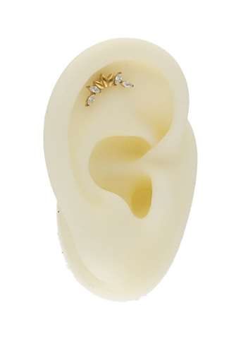 Labret/helix/tragus piercing in goud titanium met lussen