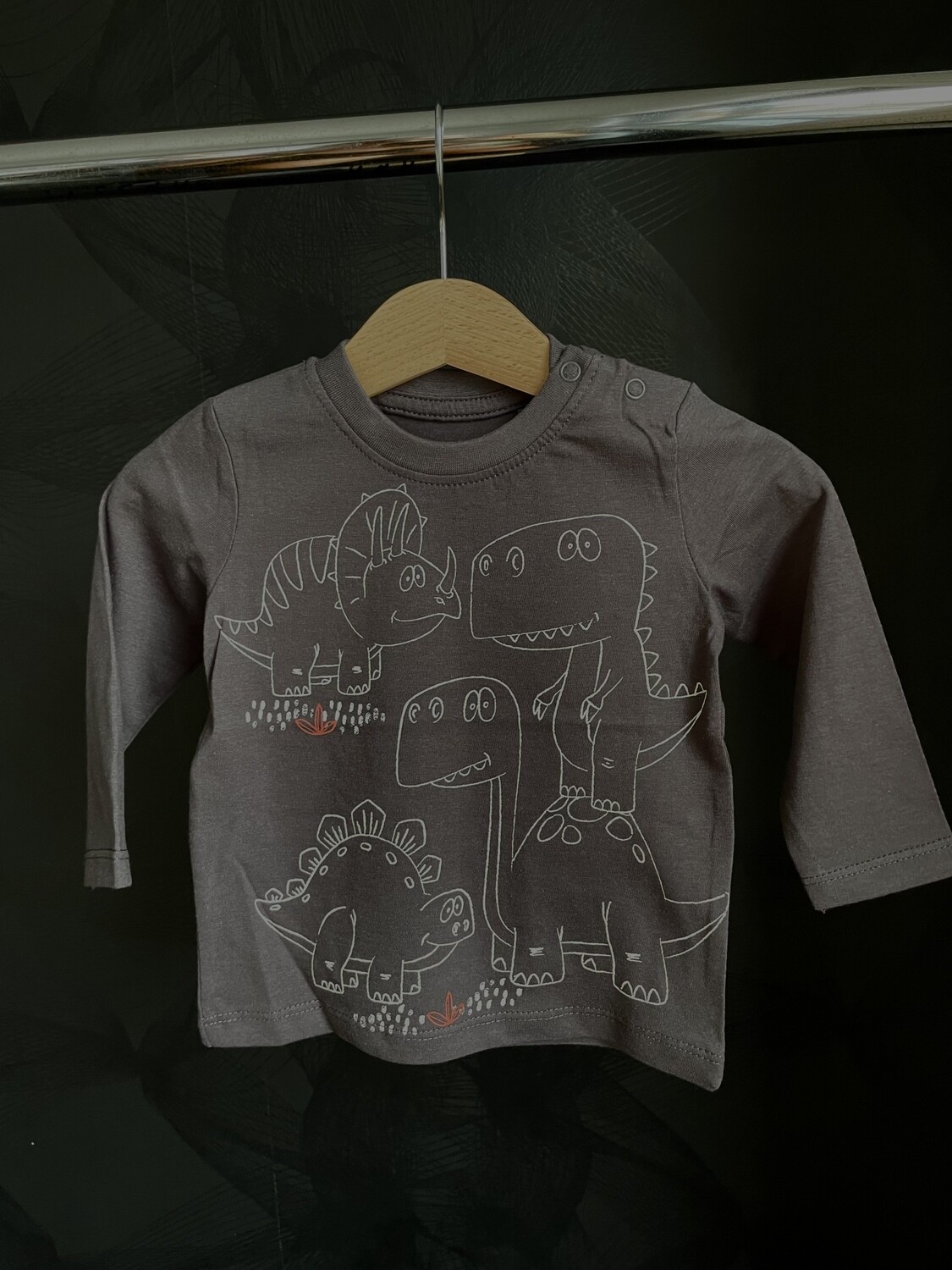 Longsleeve Dino Antraciet