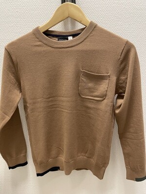 Pulletje Bruin Sarabanda