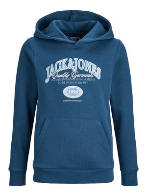Jack&amp;Jones branding sweat hood Titan
