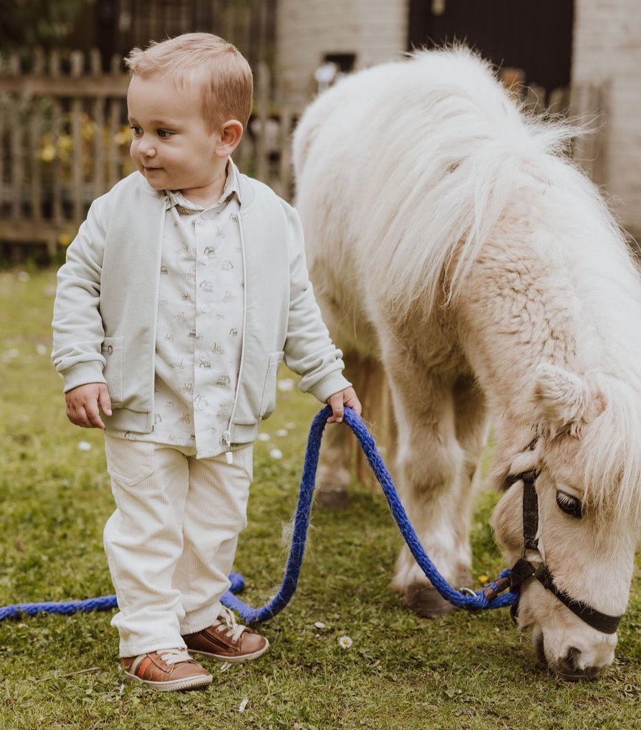 Gymp Pullover Harald