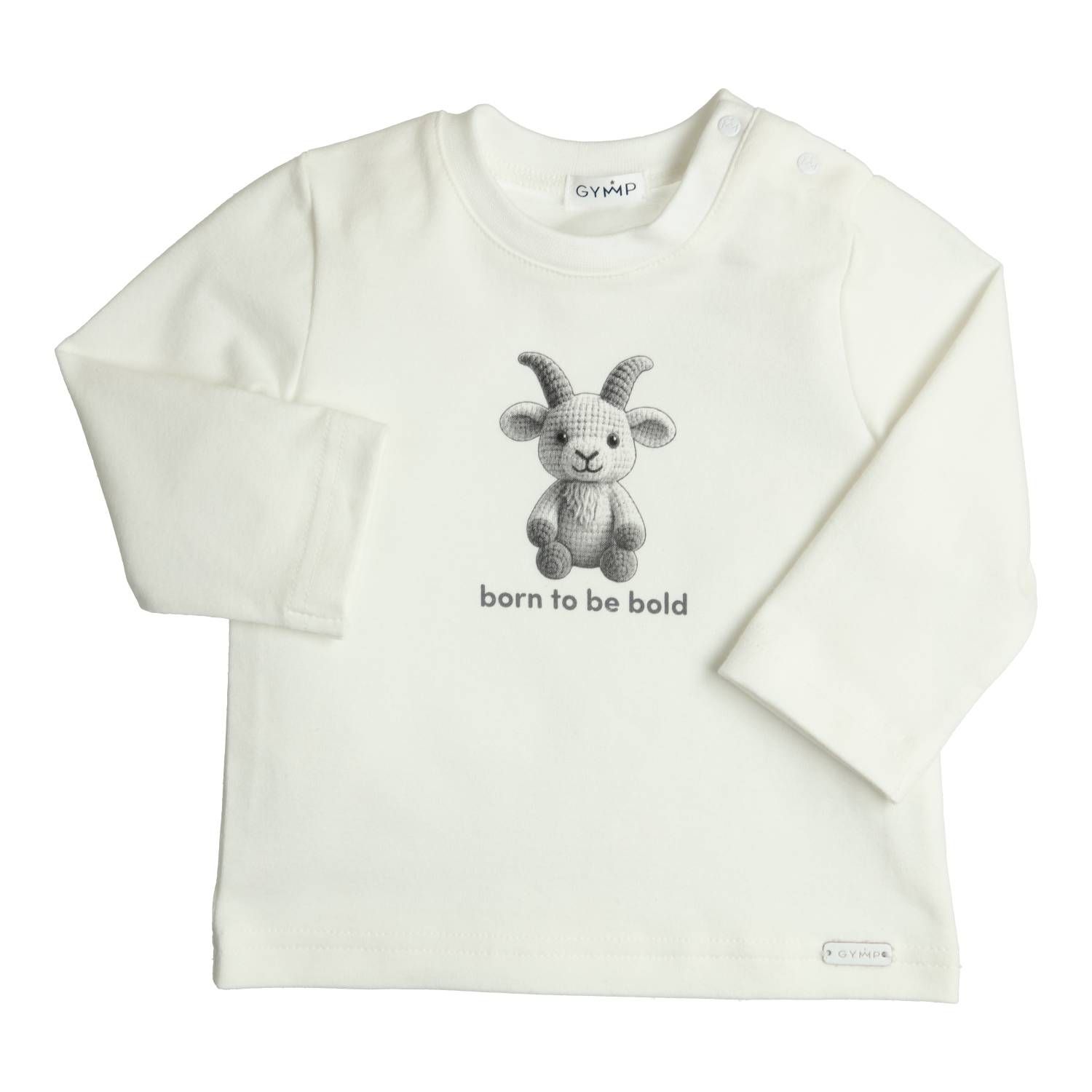 Gymp Longsleeve Aerodoux Born To Be Bold Grey