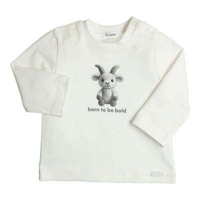Gymp Longsleeve Aerodoux Born To Be Bold Grey
