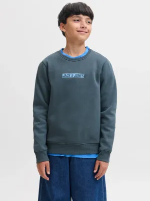 jack&amp;Jones mank sweat crewneck turbulence