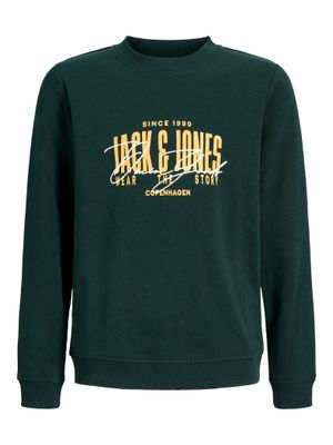 Jack&amp;Jones sweater aero scarab