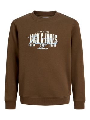Jack&amp;Jones sweater aero Cocoa