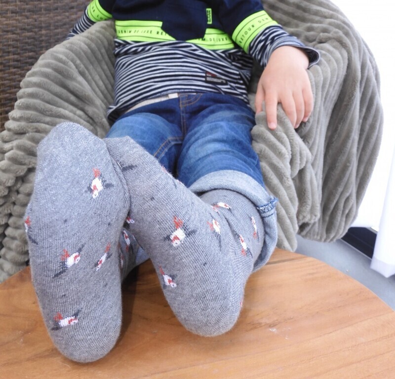 In Control 2 socks BIRDS rust/medium grey