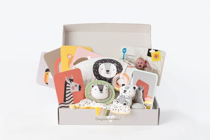 Newborn Develop &amp; Play Kit