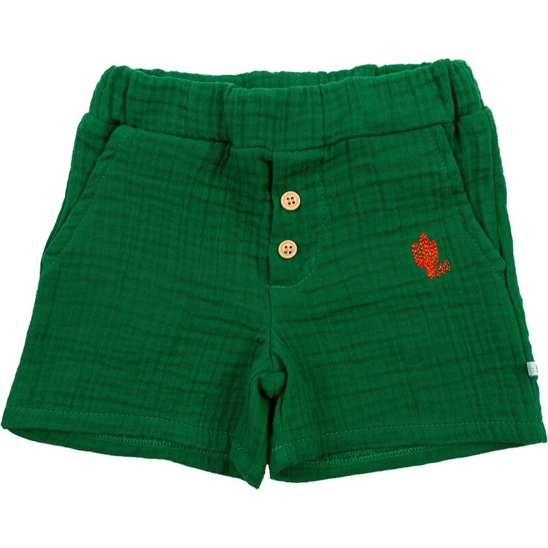 bla bla bla SHORT GROEN