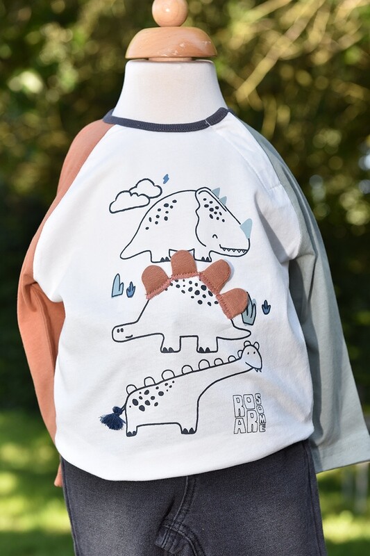 Tshirt Dino&#39;s