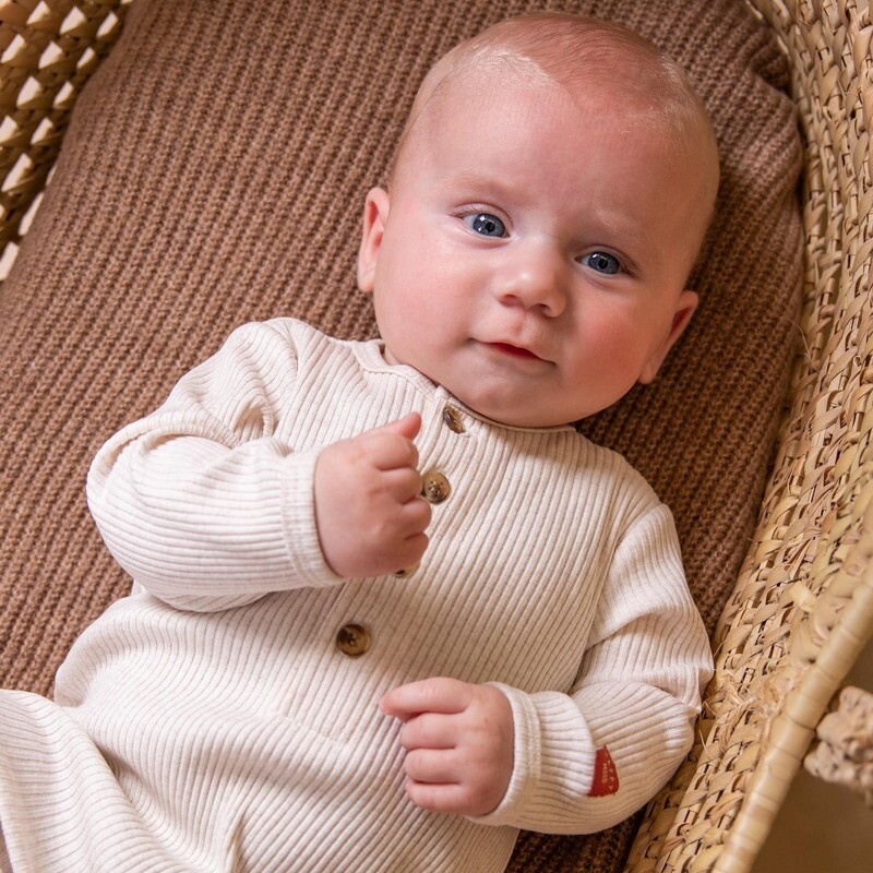 BESS SUIT HENLEY RIB-CLAY
