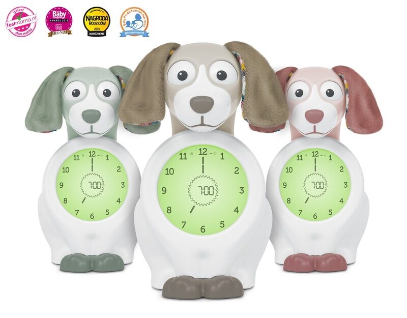 Davy de hond SLAAPTRAINERS groen