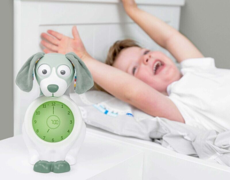 Davy de hond SLAAPTRAINERS Groen