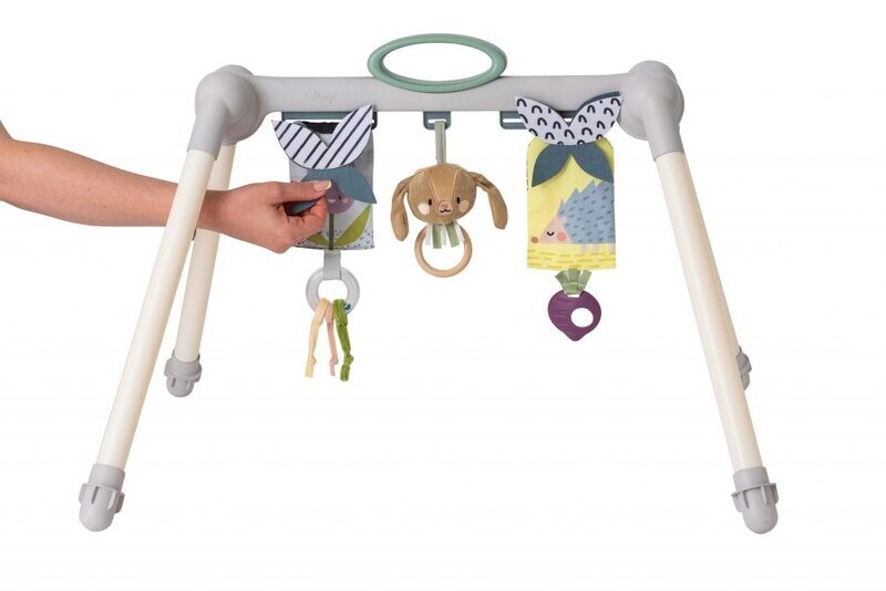 Urban Garden Foldable Baby Gym
TAF TOYS