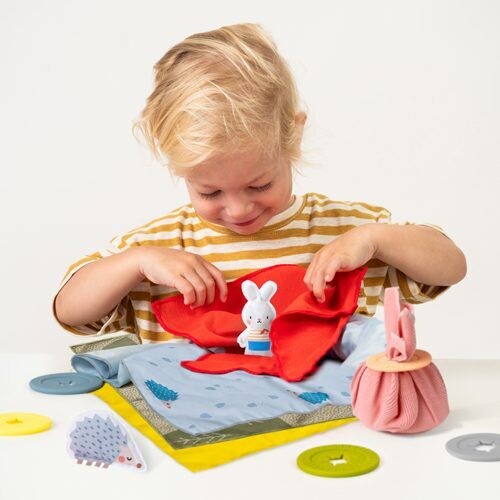 Peek-A-Boo What's Inside 18m+
TAF TOYS