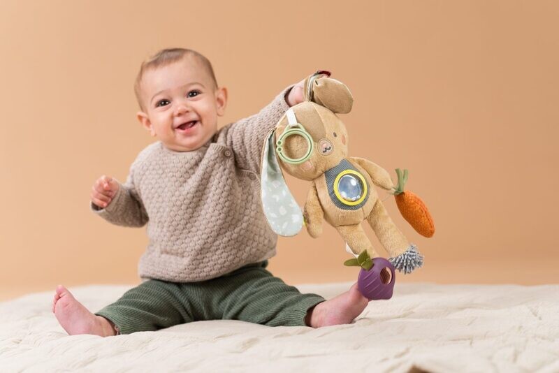 Jenny Activity Toy
TAF TOYS