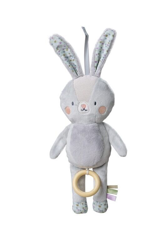 Rylee Musical Bunny
TAF TOYS