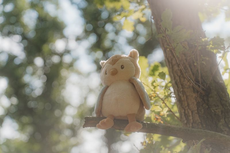 Forest Friends Knuffel Uil - Forest Friends