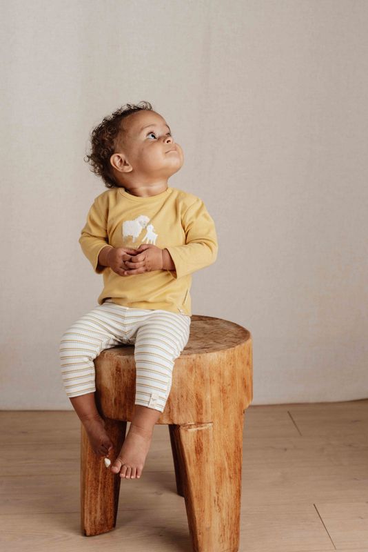 Little Farm T-shirt lange mouw Warm Yellow