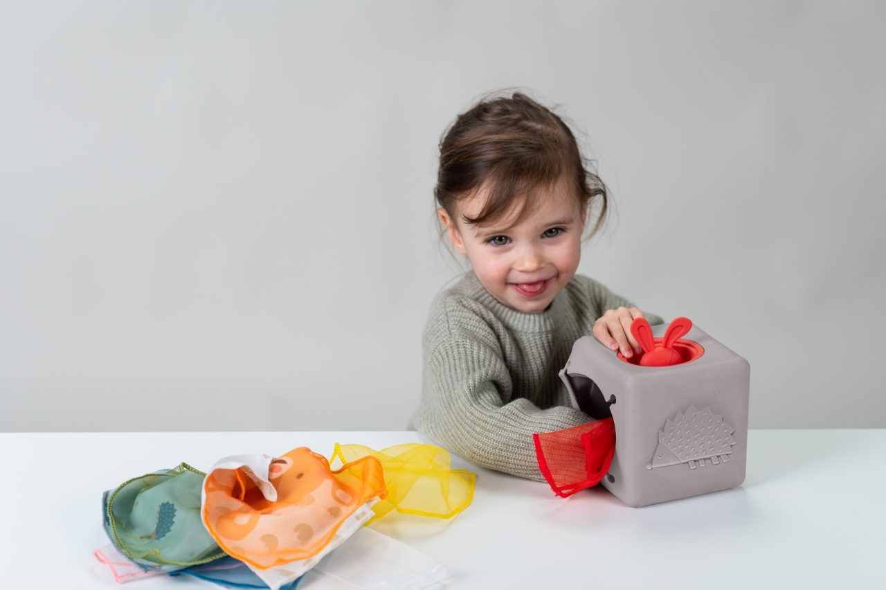 Pop-up Tissu Box Taf Toys