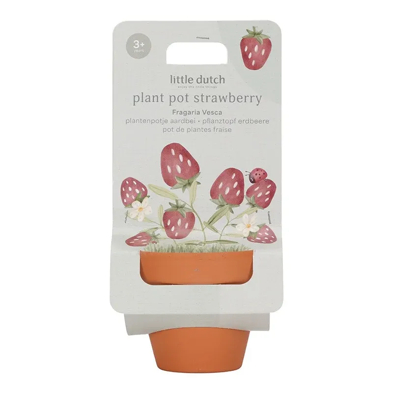 Little dutch Plantenpotje aardbeitjes