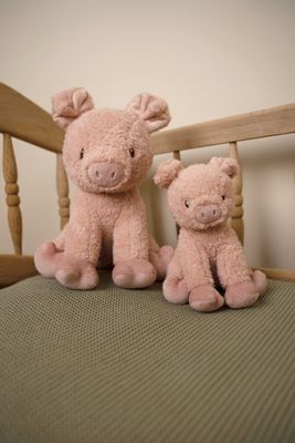 Babyspeelgoed van Little Dutch