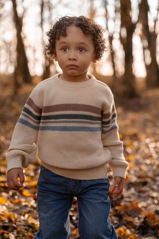 Gebreide trui - Zand - Forest Friends - Stripe
