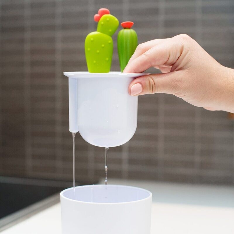 Boon Set Flessenborstels Cacti