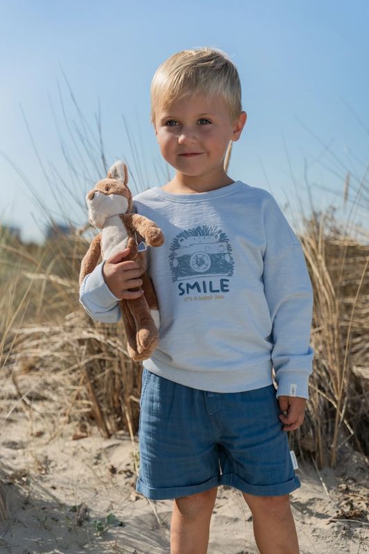 Little Dutch Sweater - Blauw - Egel