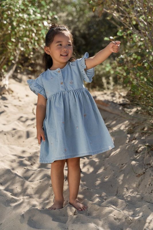 Little Dutch Jurk geborduurd - Korte mouw - Blauw