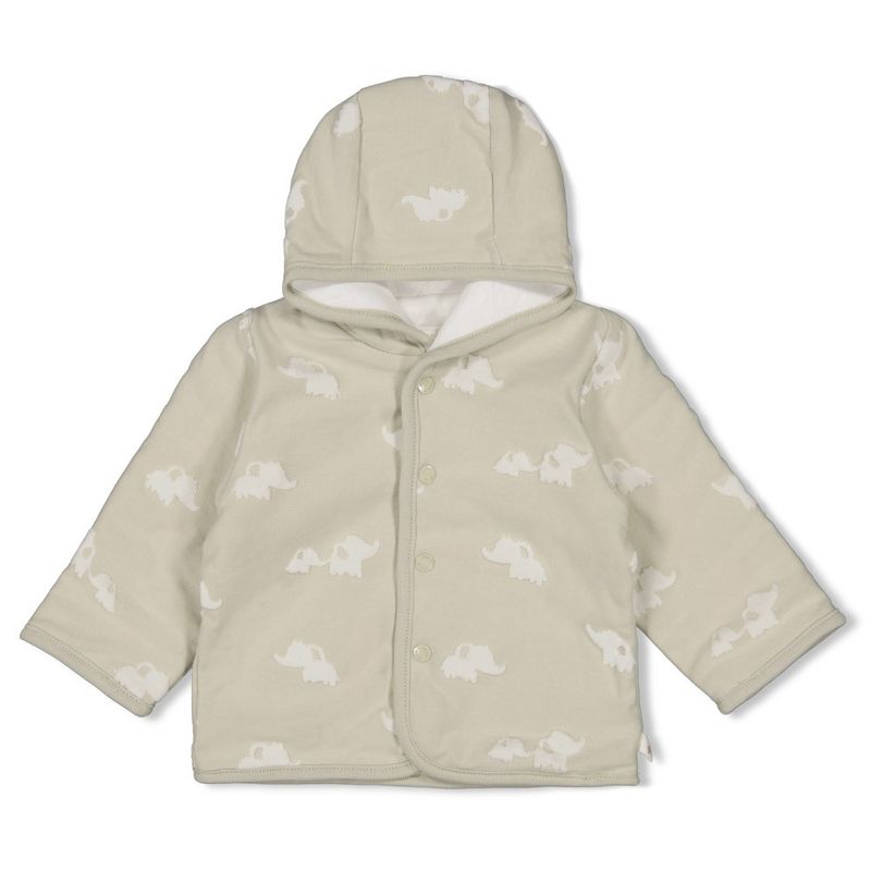 Feetje Elephant Omkeerbaar jasje Mint