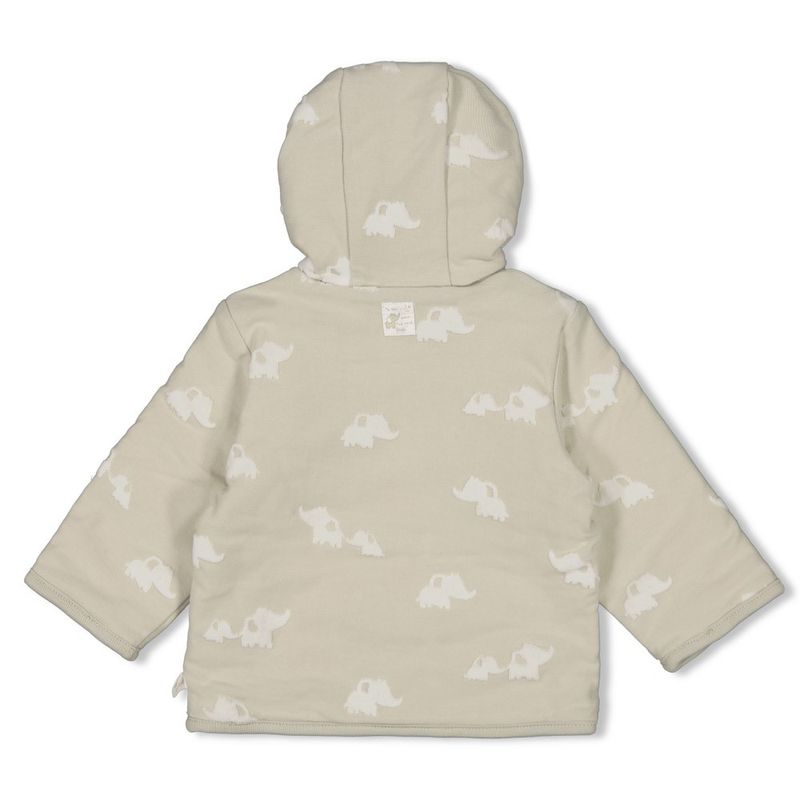 Feetje Elephant Omkeerbaar jasje Mint