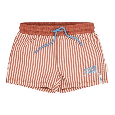 LD Zwembroek - Bruin - Ocean Brown Stripes