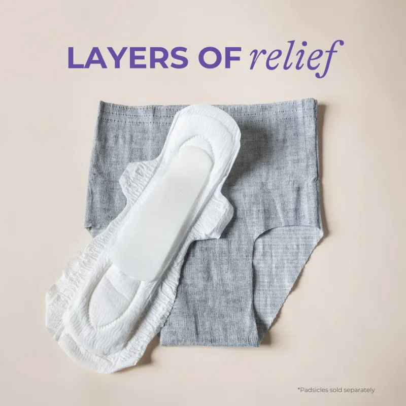 Lansinoh Postpartum lekbeschermingsset