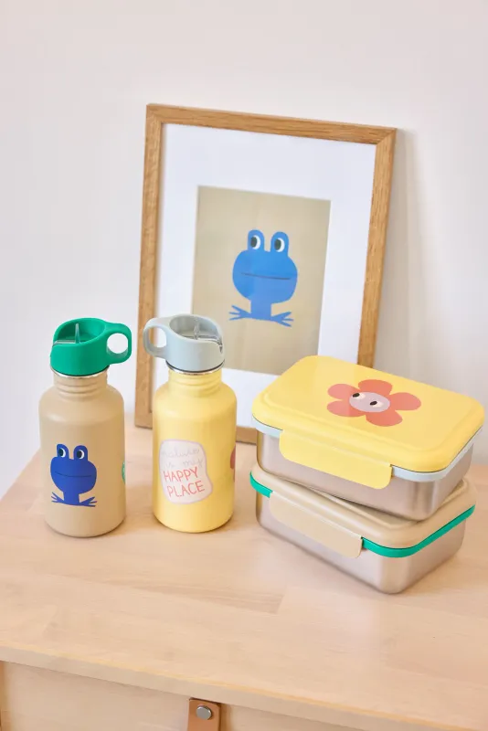 Lässig Roestvrijstalen waterfles voor kinderen 500 ml - Happy Trails, kikker