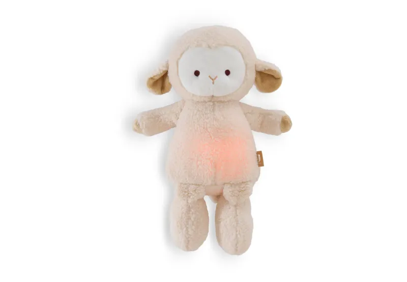 Knuffel met Licht en Geluid